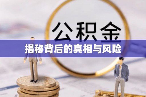 潞城揭秘背后的真相与风险