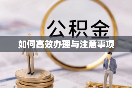 潞城如何高效办理与注意事项