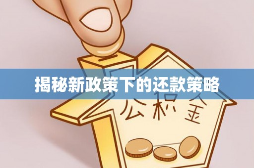 潞城揭秘新政策下的还款策略