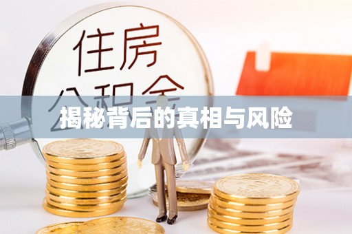 潞城揭秘背后的真相与风险