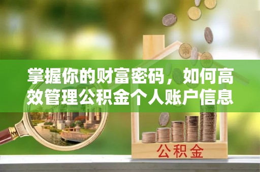 潞城掌握你的财富密码，如何高效管理公积金个人账户信息