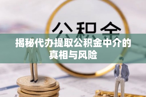 潞城揭秘代办提取公积金中介的真相与风险