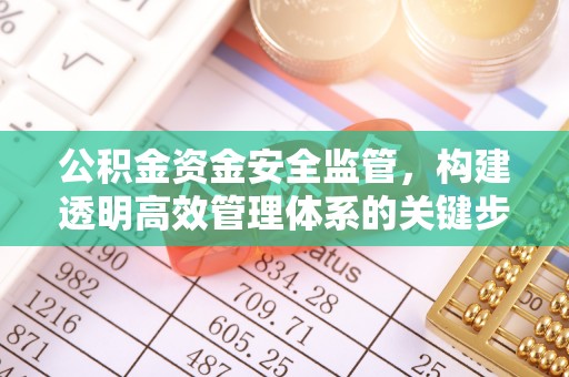 潞城公积金资金安全监管，构建透明高效管理体系的关键步骤