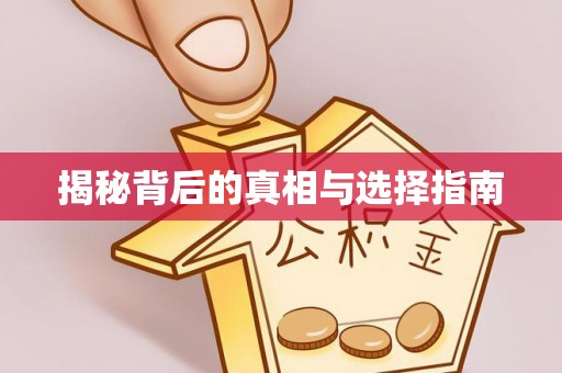 潞城揭秘背后的真相与选择指南