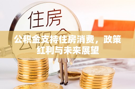潞城公积金支持住房消费，政策红利与未来展望