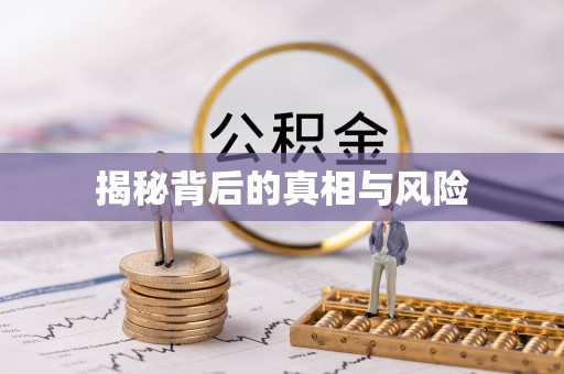 潞城揭秘背后的真相与风险