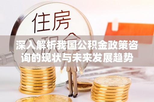 潞城深入解析我国公积金政策咨询的现状与未来发展趋势