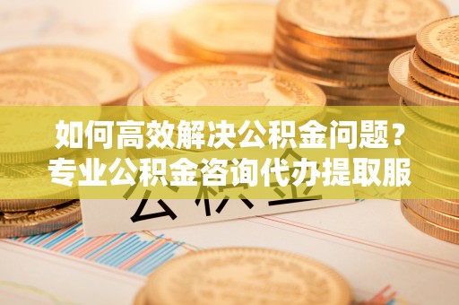 潞城如何高效解决公积金问题？专业公积金咨询代办提取服务来帮你