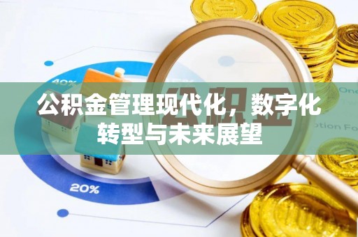 潞城公积金管理现代化，数字化转型与未来展望