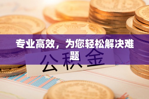 潞城专业高效，为您轻松解决难题