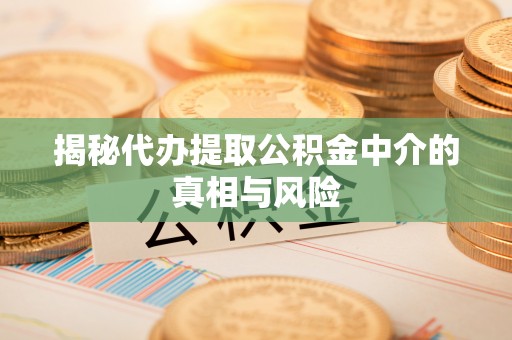 潞城揭秘代办提取公积金中介的真相与风险