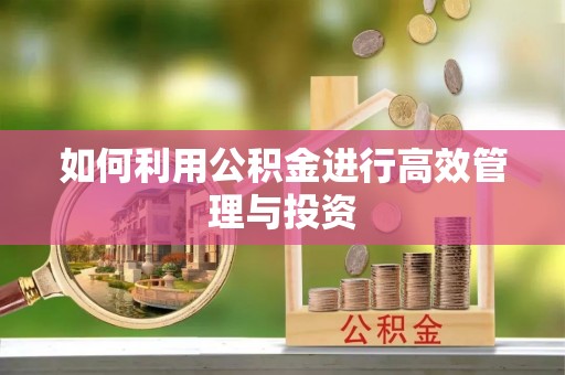 潞城如何利用公积金进行高效管理与投资