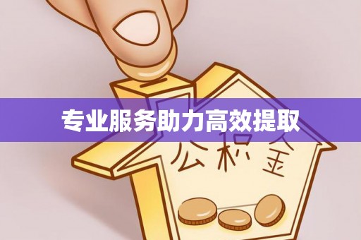 潞城专业服务助力高效提取