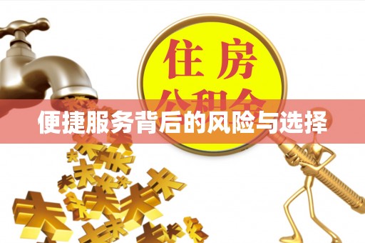 潞城便捷服务背后的风险与选择